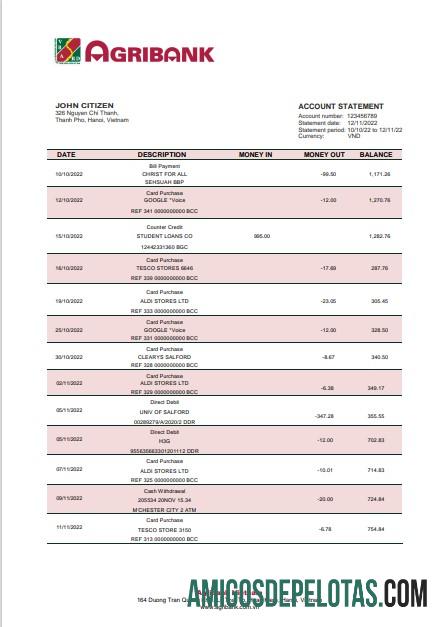 Modelo de extrato bancário Agribank do Vietnã em branco em formato Word e PDF